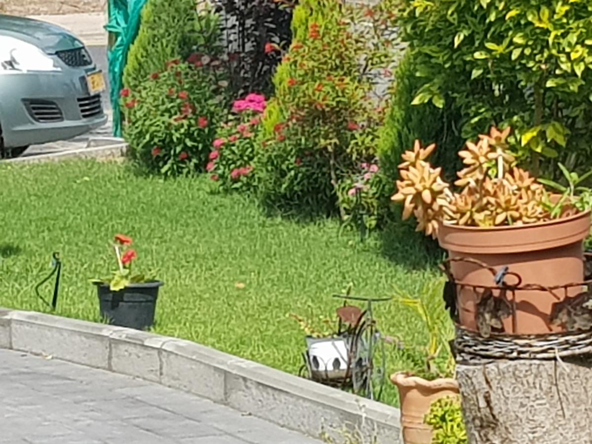 A Pastoral B & B Giv'at Ada Экстерьер фото